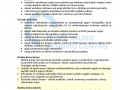 datorgrafikas-programma_page_2