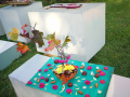 Nac-darza-ciemoties_2020-14