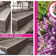 Uzdāvini RJTC acāliju!