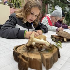 Noslēdzies STEM – dabas zinātņu konkurss “Dabas detektīvi”