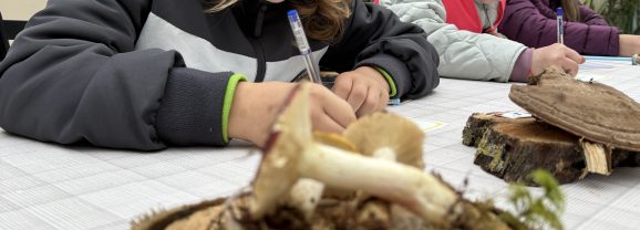 Noslēdzies STEM – dabas zinātņu konkurss “Dabas detektīvi”