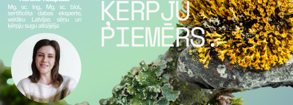 STEM profesionālās kompetences pilnveides programma pedagogiem