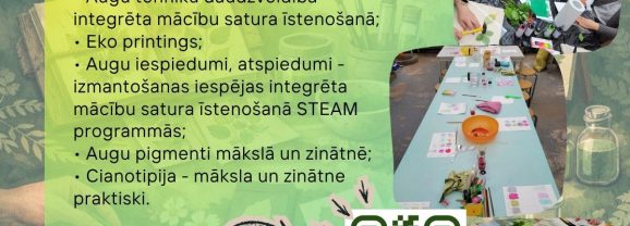 Pedagogu profesionālā pilnveide